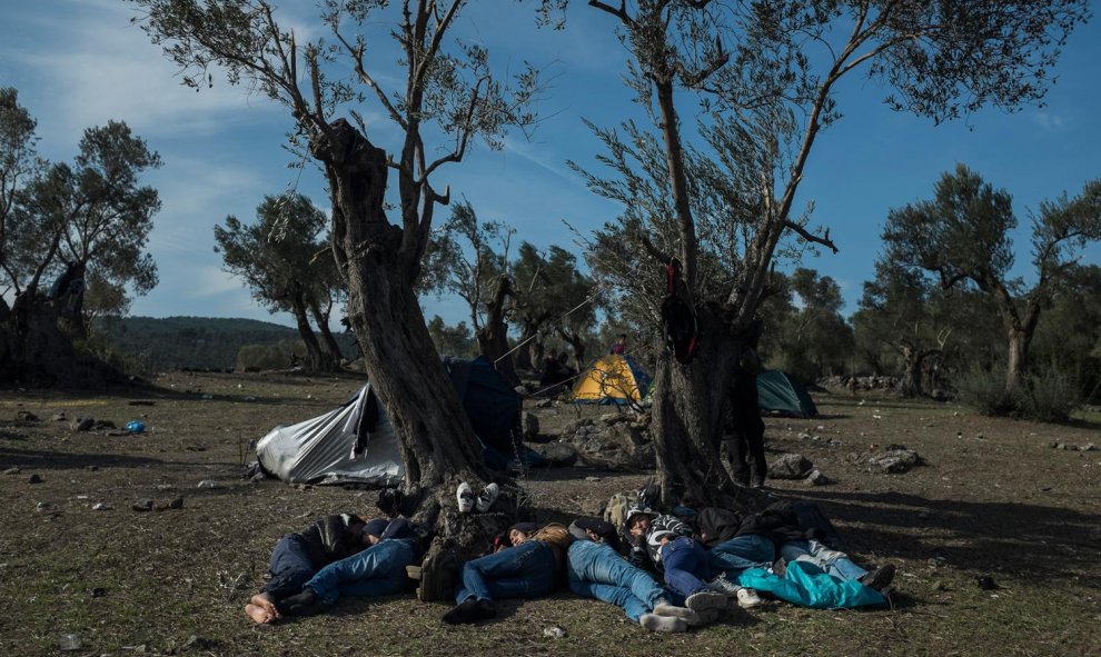 Varios refugiados descansan entre olivos en el campamento de Kara Tepe, en la isla de Lesbos, Grecia.- SANTI DONAIRE / NERVIO FOTO
