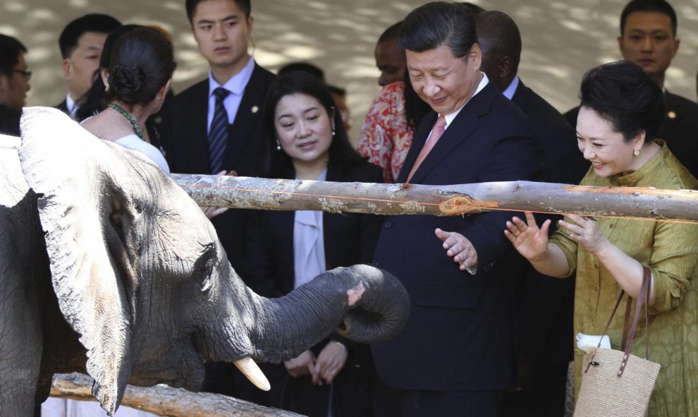 El presidente de China, Xi Jinping y su mujer, Peng Liyuan, juegan con un elefante durante su visita a una fauna de un santuario privado de Harare. REUTERS/Philimon Bulawayo