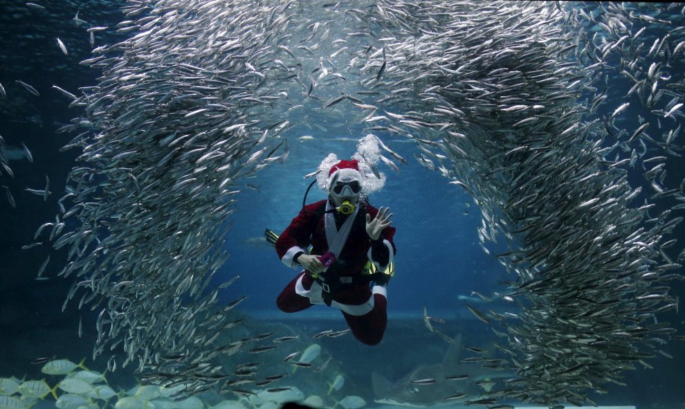 Un buzo vestido con un traje de Santa Claus nada entre peces durante un acto promocional de Navidad en un acuario en Seúl.  REUTERS/Kim Hong-Ji