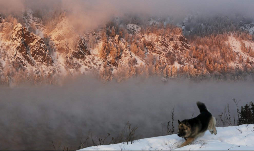 Un perro corre a lo largo de la orilla del río Yenisei durante la puesta de sol en la ciudad siberiana de Krasnoyarsk, en Rusia. REUTERS/Ilya Naymushin