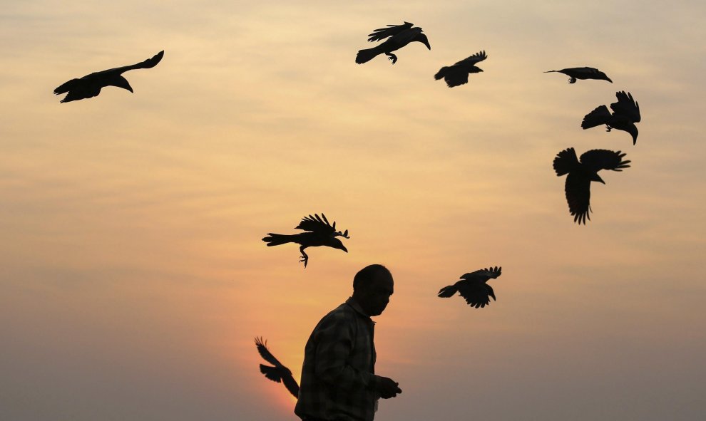 Un hombre indio da de comer a las gaviotas durante la puesta de sol en Bombay, India. EFE/Divyakant Solanki