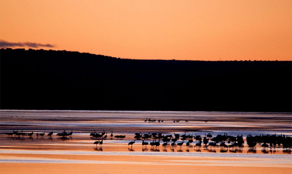 Fotografía tomada en la Laguna de Gallocanta, en Aragon, España. Es la mayor laguna natural de la Península Ibérica y la mayor laguna de agua salada de Europa. AGUSTÍN CATALÁN (Ramsar)