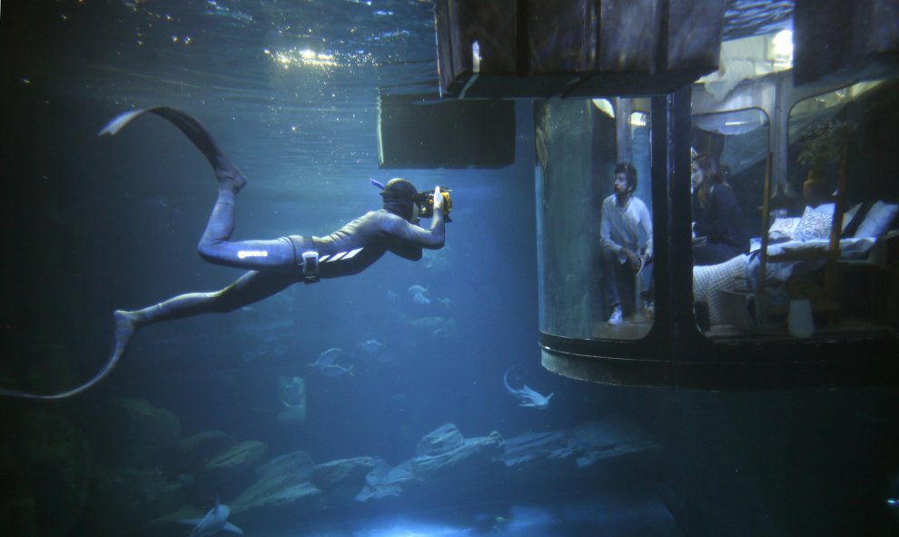 Un buzo toma fotos mientras la gente mira a los tiburones desde una sala bajo el agua instalada en el acuario de París, Francia. REUTERS/Charles Platiau