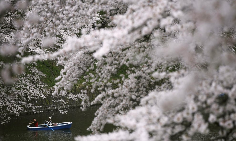 Unos visitantes dan un paseo en barco por el río Chidorigafuchi para contemplar las flores de cerezo. Tokio, Japón. REUTERS/Issei Kato