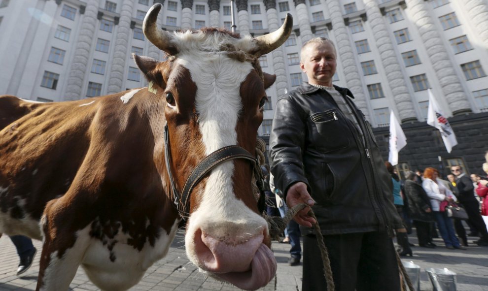 Un hombre lleva una vaca durante una manifestación de agricultores en Kiev, Ucrania. REUTERS/Valentyn Ogirenko