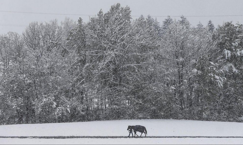 Un hombre camina con su caballo en un camino cubierto de nieve en Gnadenwald, Austria. REUTERS/Dominic Ebenbichler