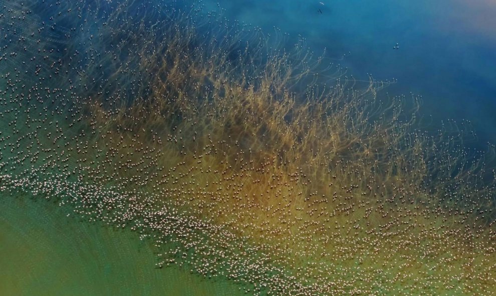 Miles de flamencos alzan el vuelo en el Lago Natron (Tanzania). Segundo premio (Naturaleza) del concurso Travel Photographer of the year 2018. HAO J./NATIONAL GEOGRAPHIC