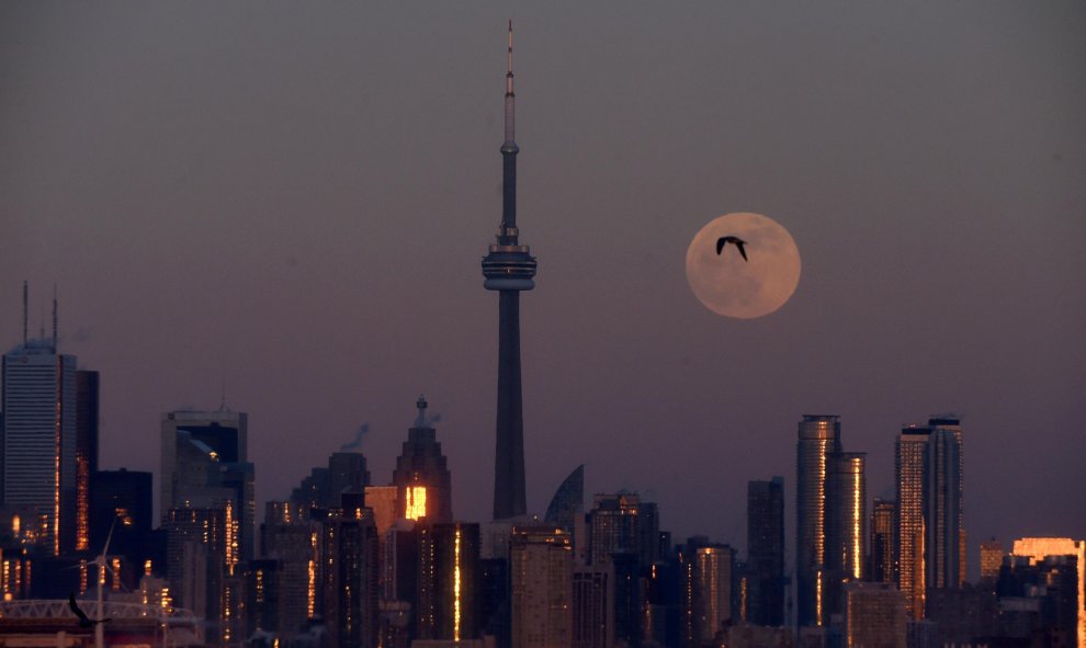 La luna llena se levanta sobre el horizonte del centro de la ciudad y el Scotiabank Arena en Toronto, Ontario, Canadá | REUTERS/ Dan Hamilton