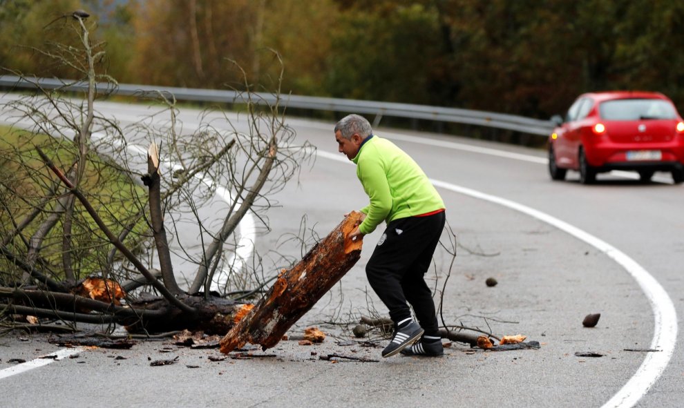 Un hombre retira los trozos de un árbol que dificultaban la circulación en una carretera de la provincia de Lugo./ Eliseo Trigo (EFE)