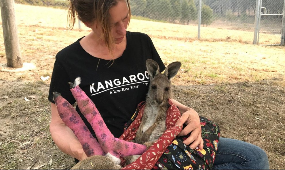 La voluntaria y cuidadora Tracy Dodd sostiene un canguro con almohadillas quemadas después de ser rescatado de incendios forestales en el área de Blue Mountains de Australia