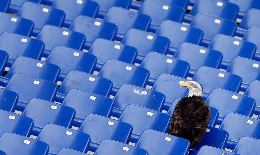La mascota del Lazio, un águila de cabeza blanca llamada Olimpia, aterriza en las gradas. en el Estadio Olímpico de Roma. /ALESSANDRO BIANCHI (REUTERS)