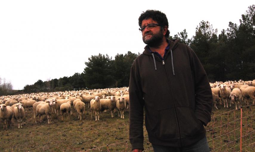 El ganadero Fernando Pastor con sus ovejas en Armuña, Segovia. LUCÍA VILLA