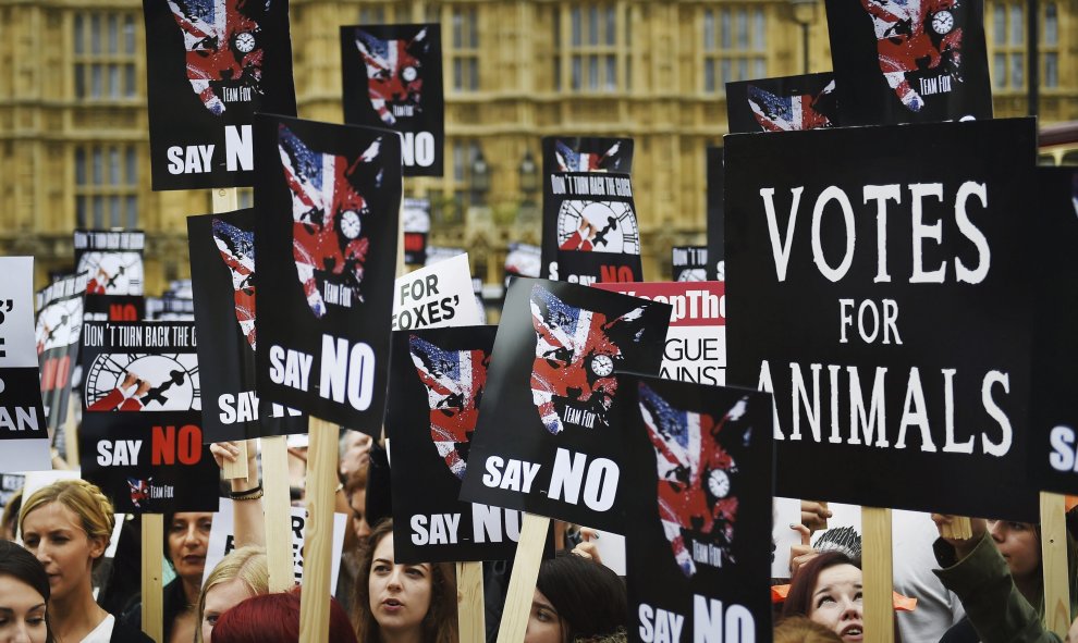 Protesta para pedir que se mantenga la prohibición de cazar zorros con perros a las puertas del Parlamento en Londres (Reino Unido) hoy, 14 de julio de 2015. El Gobierno canceló una votación sobre un cambio en la ley. EFE/Andy Rain