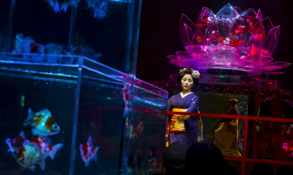 Una Maiko, una aprendiz de geisha, realiza una danza tradicional frente a un tanque con peces de colores en la exposición Arte Acuario en Tokio. Miles de peces de colores se muestran en decenas de tanques de forma exclusiva iluminados por luces LED. REUTE