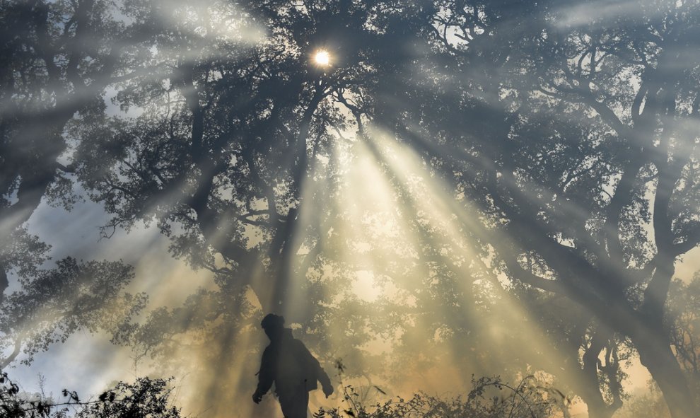 Un bombero de la BRICA, camina por el humo durante un incendio forestal en Los Barrios, cerca de Cádiz. Desde 19 de julio los incendios forestales han arrasado casi 39.000 hectáreas de tierra en España, de acuerdo con las cifras del ministerio de Agricult