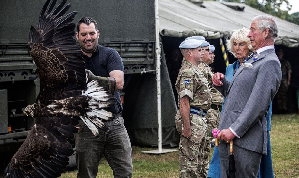 El príncipe Carlos de Gales y su esposa Camilla gesticula ante un movimiento de 'Zephyr" el águila calva mascota del Cuerpo Aéreo del Ejército británico.- RICHARD POHLE (AFP)
