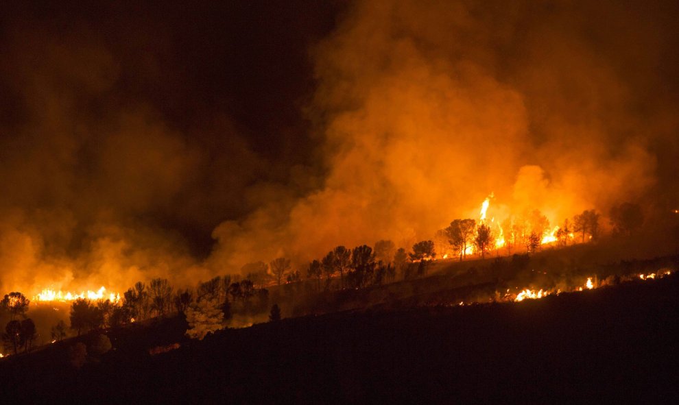 Imagen del incendio forestal en el Cañón de Almadenes, uno de los tres focos activos en la localidad murciana de Cieza. EFE/Marcial Guillén.