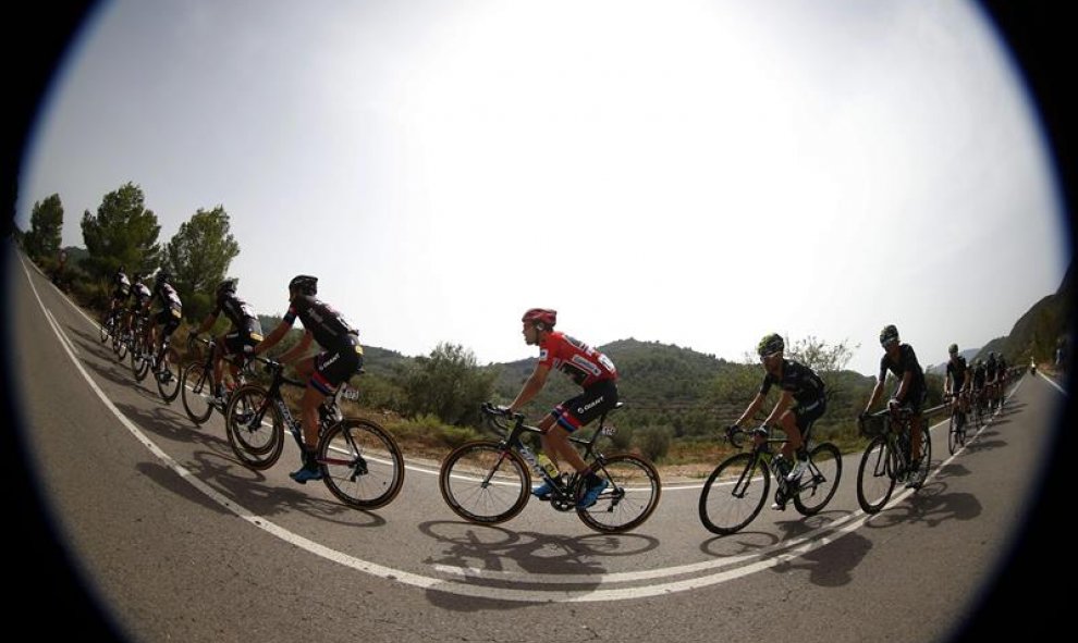El ciclista holandes del equipo Giant, Tom Dumoulin, en el pelotón, durante la décima etapa de la Vuelta Ciclista a España, que ha partido de Valencia y ha terminado en Castellón, con un recorrido de 146,6 kilómetros. EFE/Javier Lizon