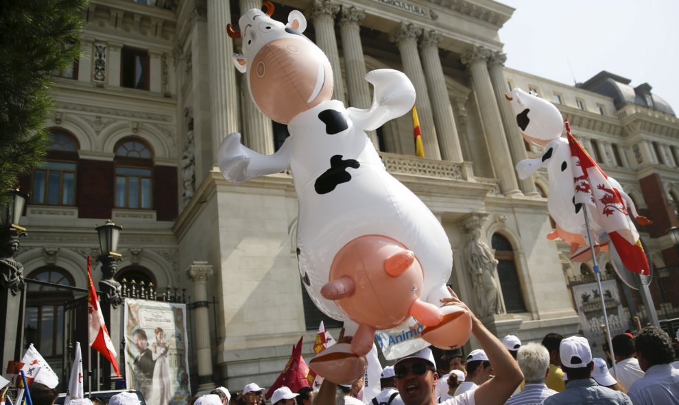 Un manifestante de la "marcha blanca" con a una vaca hinchable durante la protesta por los precios de la leche ante el Ministerio de Agricultura en Madrid, España, 4 de septiembre de 2015. REUTERS / Andrea Comas