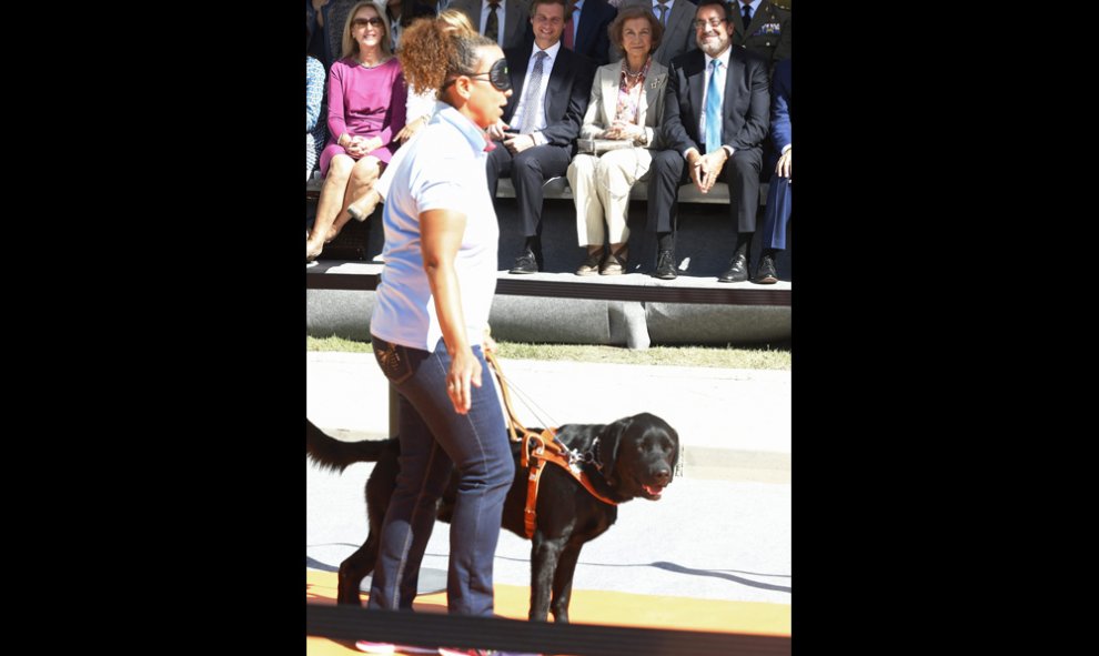 Una instructora de la Fundación ONCE del Perro Guía realiza una demostración como parte de los actos del 25 aniversario de la organización, en un acto en el que han estado presentes, entre otras personalidades, la reina Sofía , el presidente de la ONCE, M