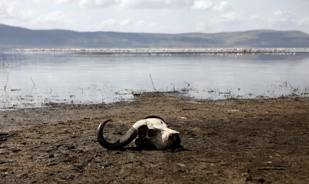 UNESCO que la región de los tres lagos que con el crecimiento rápido de la población cercana, la zona está bajo "considerable amenaza de las presiones de los alrededores."- REUTERS.