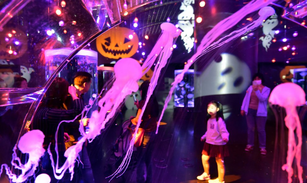 Exponen medusas en un aquarium de Tokio con la temática de Halloween. AFP PHOTO / Yoshikazu TSUNO
