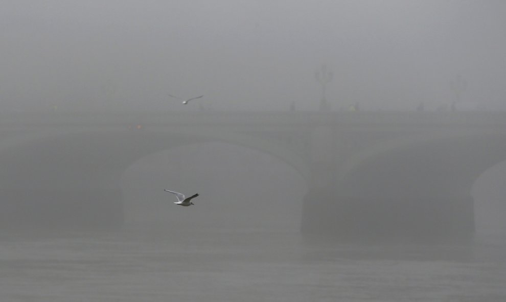 Una gaviota vuela más allá del puente de Westminster.- REUTERS.