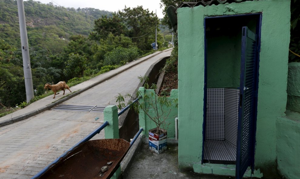 Un perro pasa por un inodoro de un bar en la barriada Turano en Río de Janeiro (Brasil). REUTERS / Sergio Moraes