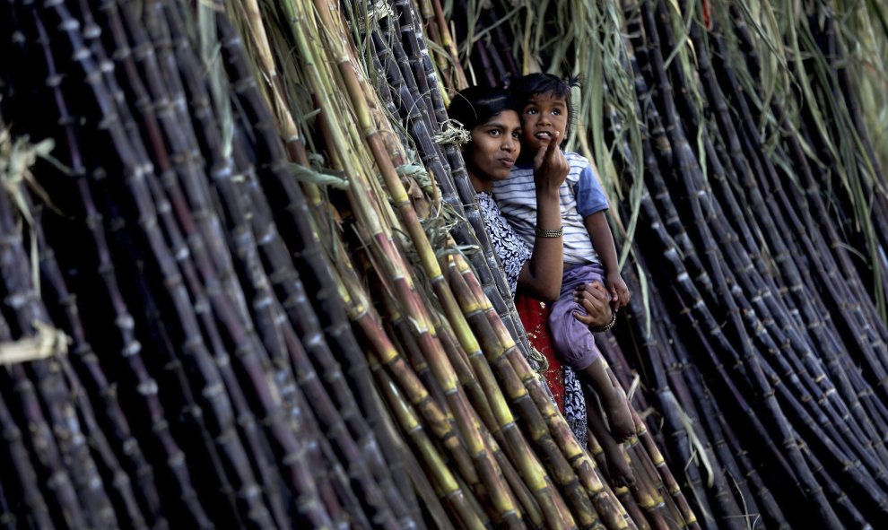 Una vendedora de azúcar de caña sujeta a su hijo en brazos en su puesto construido con cañas de bambú en una carretera de Bangalore (India), el 14 de enero de 2016. La zona sur de la India se prepara para la celebración del Thai Pongal a partir de mañana,