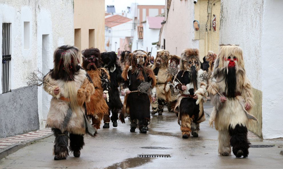 Acehúche (Cáceres) ha celebrado ‘Las Carantoñas’ en honor a San Sebastián, que son hombres disfrazados con pieles de animales. Según la leyenda, en su día arrojaron al santo a las fieras porque no rechazaba su cristianismo, pero éstas no le atacaron. Las