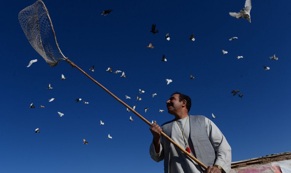 Nasir, un afgano de 45 años, observa el vuelo de sus palomas desde el tejado de su casa en Herat.- Aref Karimi (AFP)