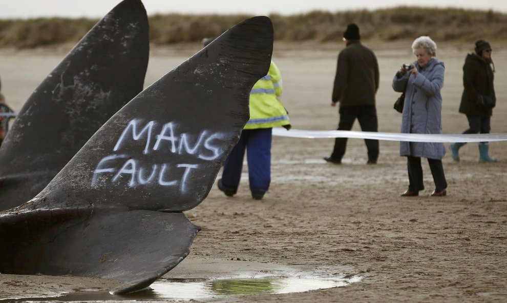 Dos ballenas yacen en la arena en la playa de Skegness, en Inglaterra. REUTERS/Andrew Yates