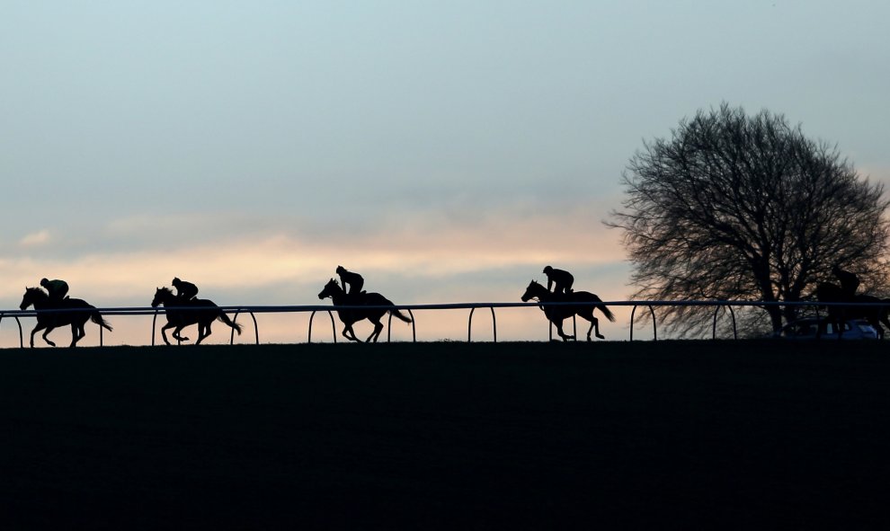 Entrenan caballos de carrera de madrugada en Lambourn, sur de Inglaterra, 28 de enero de 2016. REUTERS / Eddie Keogh