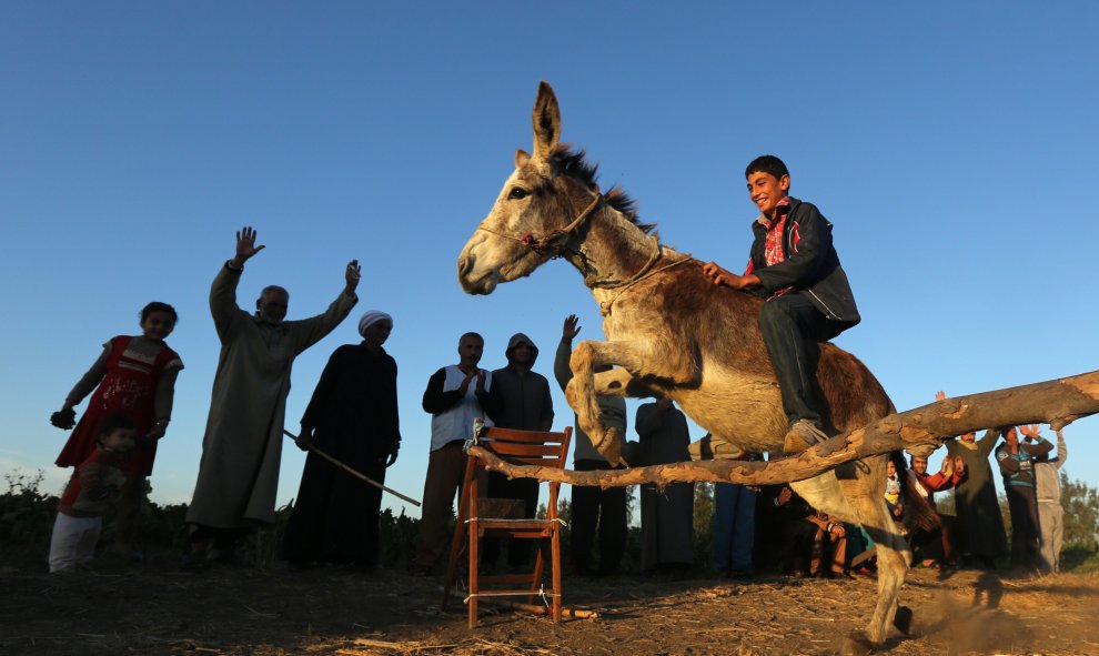 Ahmed Ayman, de 14 años y que vive en un pequeño pueblo en el norte del Delta del Nilo de Egipto, entrena a su burro, Rihanna, para saltar obstáculos, como muchos lo han hecho en los últimos años en Mansoura, Egipto. REUTERS / Mohamed Abd El Ghany