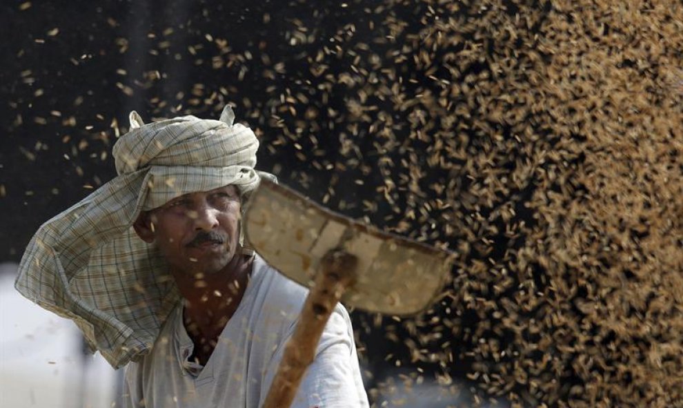 Un obrero indio aventa granos de arroz en un mercado de grano en Amritsar (India). EFE/Raminder Pal Singh