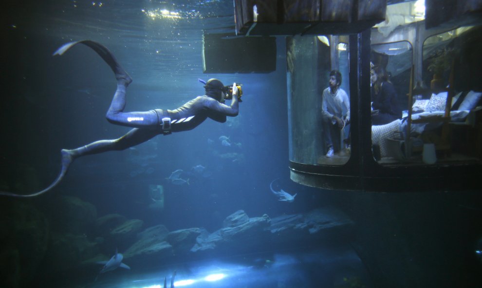 Un buzo toma fotos mientras la gente mira a los tiburones desde una sala bajo el agua instalada en el acuario de París, Francia. REUTERS/Charles Platiau