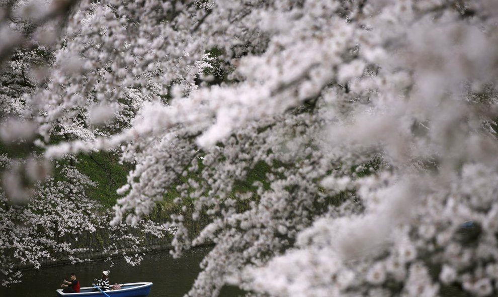 Unos visitantes dan un paseo en barco por el río Chidorigafuchi para contemplar las flores de cerezo. Tokio, Japón. REUTERS/Issei Kato