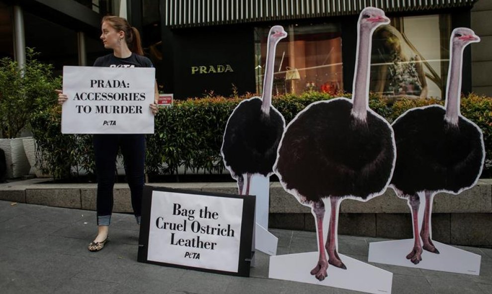 Siluetas de avestruces frente a una tienda de Prada  durante una protesta de la organización Personas a favor del Trato Ético a los Animales (PETA, en inglés) en Kuala Lumpur, Malasia denunciando el uso de piel de avestruces para hacer bolsos y sofás. EFE
