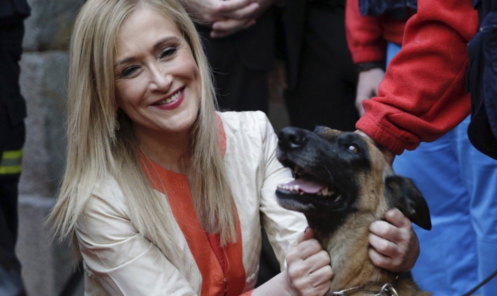 La presidenta regional, Cristina Cifuentes, acaricia a uno de los perros del Servicio de Emergencia y Respuesta Inmediata de la Comunidad de Madrid (Ericam) que ha recibido una de las encomiendas de número de la Orden del Dos de Mayo, en los actos de impo