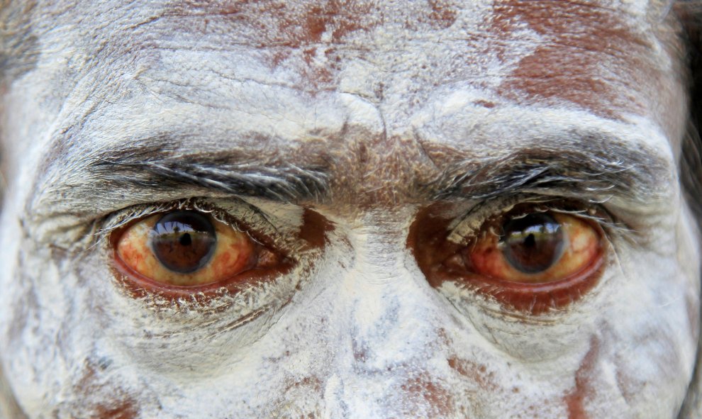 Hindú con la cara pintada de ceniza en Ujjain, India. REUTERS/Jitendra Prakash