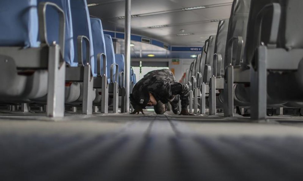 Los miembros de la Unidad de la Brigada Canina de la Policía Militar de Río de Janeiro hacen entrenamiento con los perros para buscar explosivos en los "ferries" anclados en el puerto de Río de Janeiro, Brasil. EFE/ Antonio Lacerda.