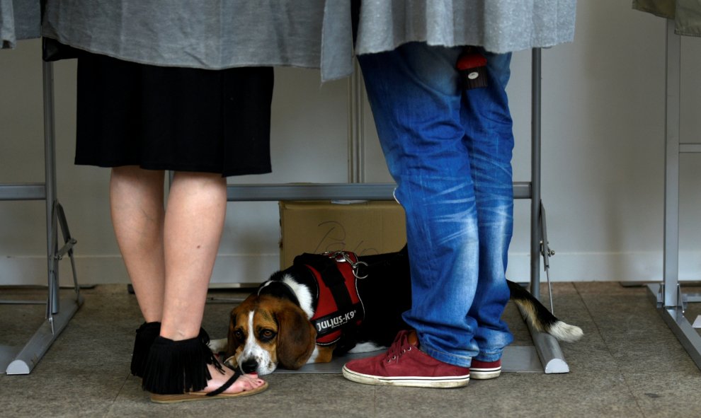 Una pareja se prepara para votar junto a su perro en Pola de Siero. REUTERS/Eloy Alonso
