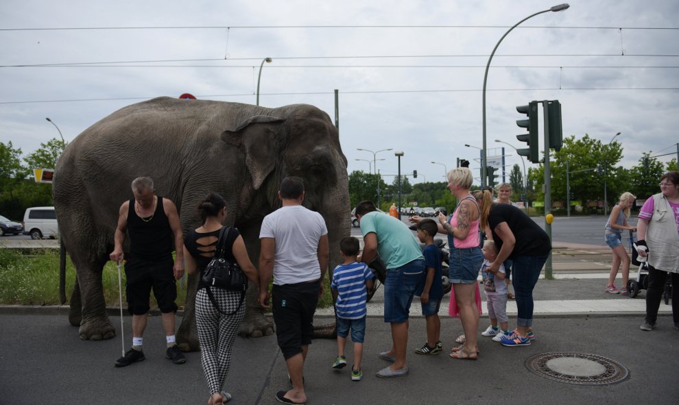 Un elefante de un circo alemán en las calles de Berlín , Alemania.-REUTERS / Stefanie Loos