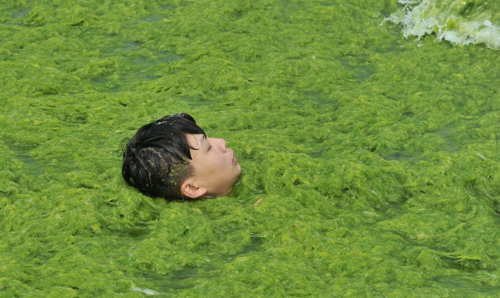 Un niño se baña en una playa de algas ubicada en Qingdao, provincia de Shandong, China. REUTERS/Stringe