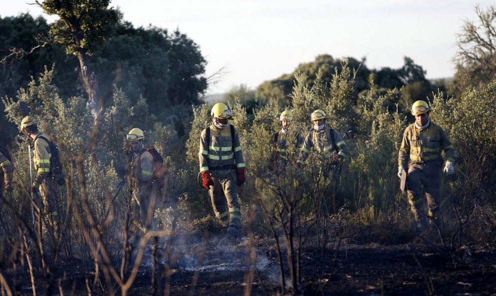 La Junta de Castilla y León sospecha que el incendio declarado ayer en Vega de Tera (Zamora), que obligó a cortar la autovía A-52 y que ya ha arrasado 165 hectáreas, fue intencionado. El fuego aún está activo aunque se encuentra estabilizado y ello ha per