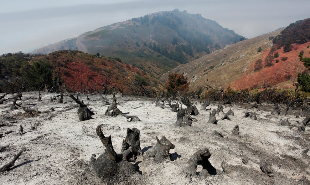 Una pendiente carbonizada tras el fuego de Soberanes quemó las montañas de Carmel Highlands. REUTERS/Michael Fiala