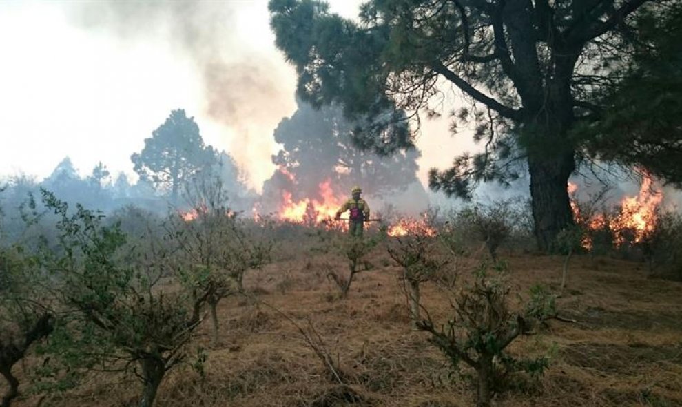 La Asociación de Trabajadores de las Brigadas de Refuerzo contra Incendios Forestales (BRIF) participando en las labores de extición del incendio forestal en la isla de Palma. EFE