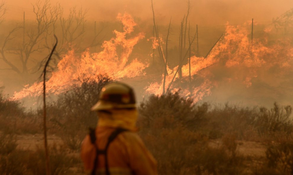 El bombero lucha contra el avance de las llamas en el incendio que arrasa los montes de San Bernardino (California, EEUU). REUTERS/Gene Blevins