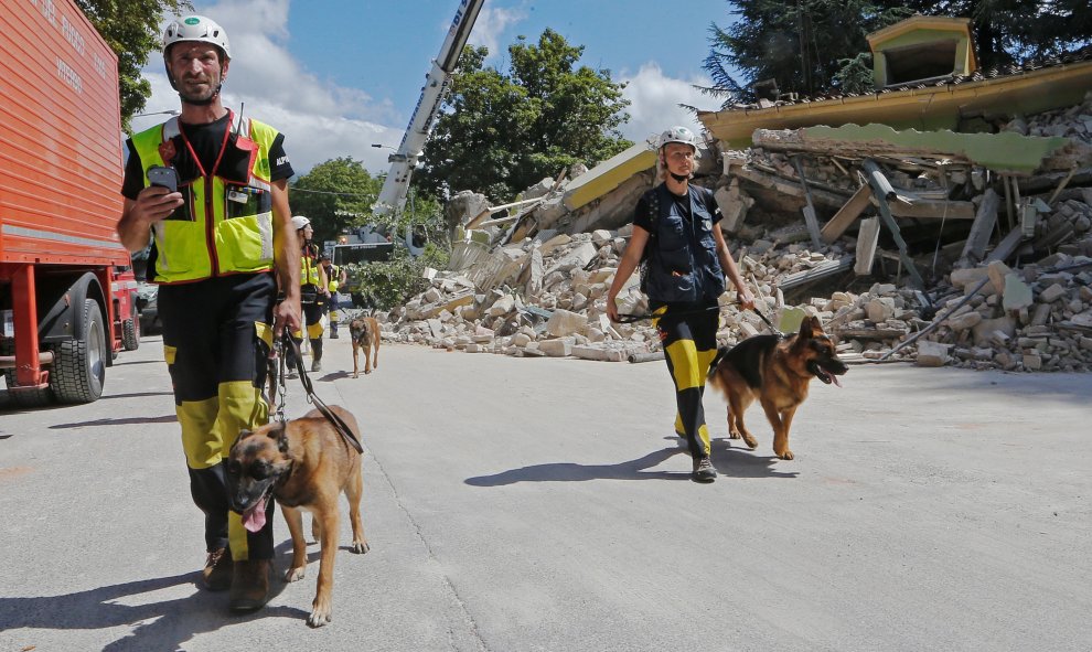 Los equipos de rescate pasean con sus perros tras el terremoto de Italia. REUTERS/Ciro De Luca