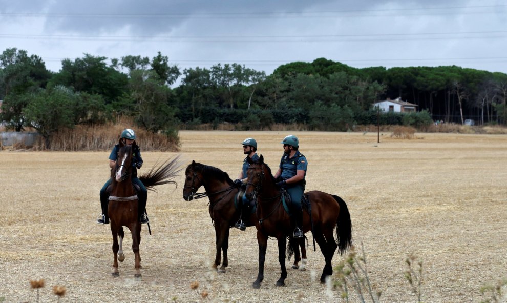 Agentes de la Guardia Civil a caballo vigilan la celebración de el Toro de la Peña, anteriormente conocido como Toro de la Vega, en Tordesillas.- REUTERS / Andrea Comas
